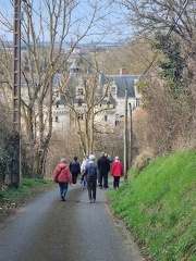 71-Cibelli