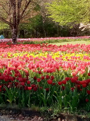 image0000001 (7)