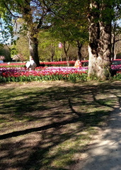 image0000001 (8)