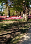 image0000001 (8)