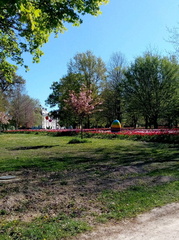 image0000001 (12)