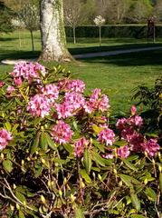 image0000011 (4)