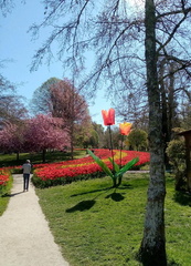 image0000011 (7)