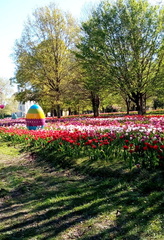 image0000011 (6)